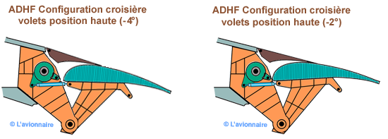 ADHF croisiere