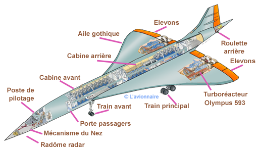 Concorde cellule