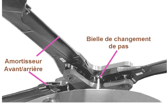 Rotor flexible