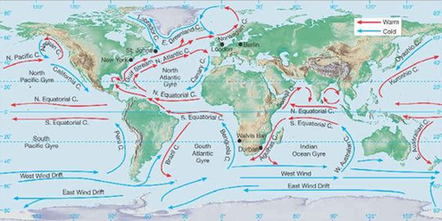 Circulation des ocean