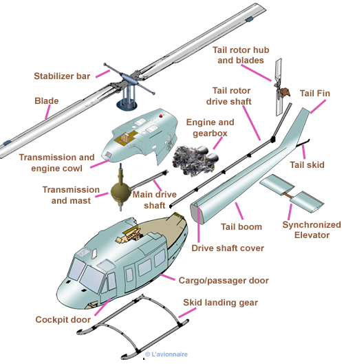 Helico cellule Anglais